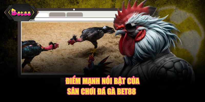 Điểm mạnh nổi bật của sân chơi đá gà BET88